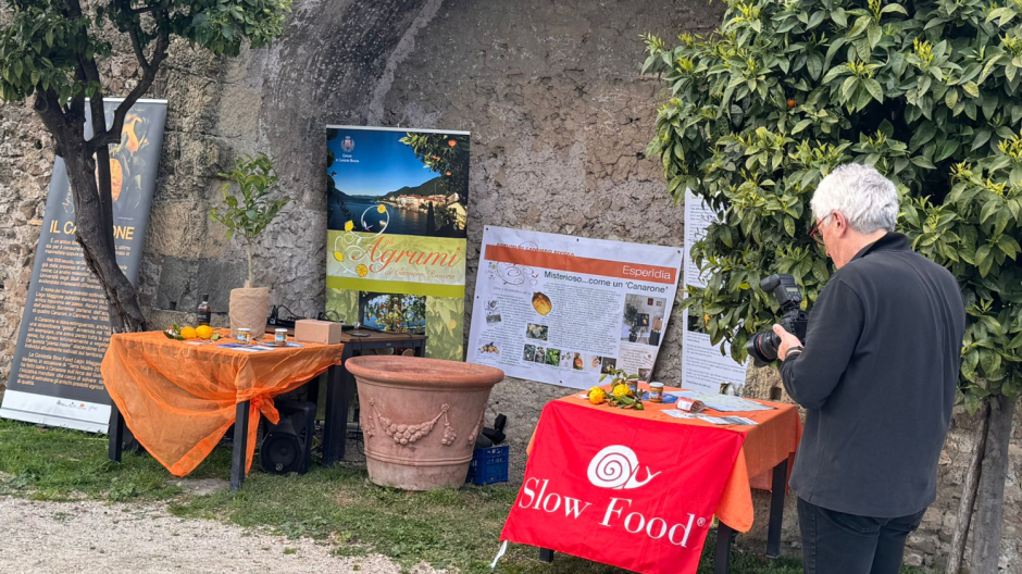 Il canarone di Cannero entra nella Biblioteca degli agrumi di Villa Pamphilj