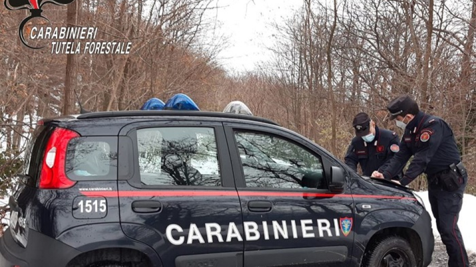 Un Maremmano uccide un cane e il pastore scappa