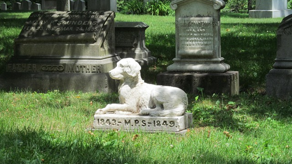 Ceneri di animali e proprietari insieme: Domodossola aggiornerà il regolamento