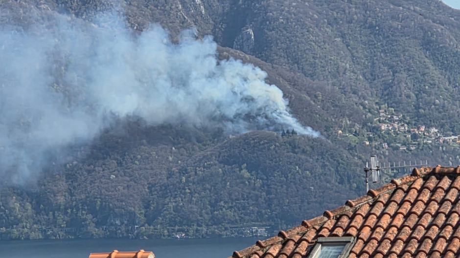Fuoco sulle colline del Verbano: in fiamme dieci ettari di bosco
