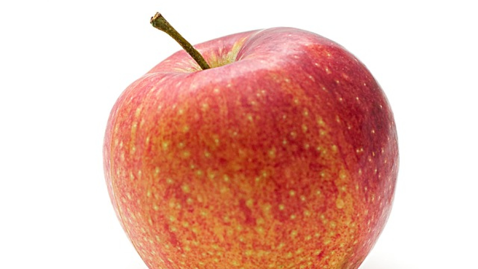 Suno: contro lo spreco, recupero di alcuni alimenti non consumati in mensa a scuola