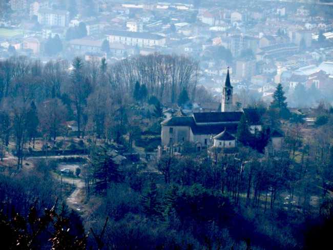 vignone1