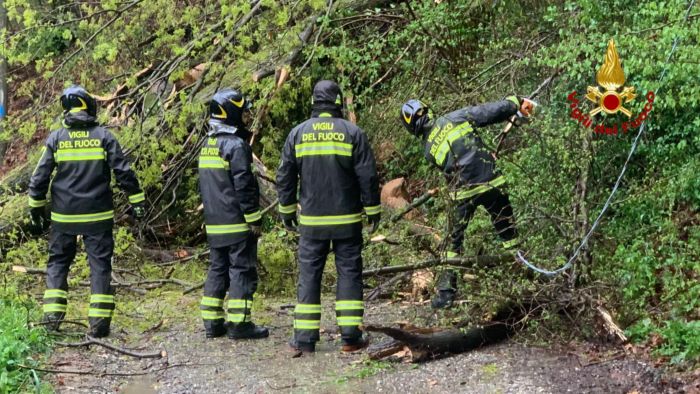 Riva Vercellotti: "Giusto chiedere lo stato di emergenza"