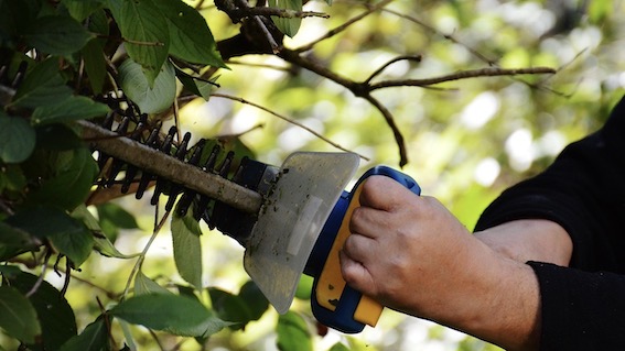 Suno, cantieri di lavoro per disoccupati over58