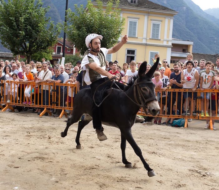 Ferragosto a Premosello con il Palio degli Asini